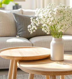 Optimiser l’espace de votre salon avec la table basse idéale