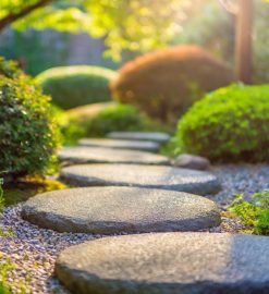 Révélez la beauté de votre jardin avec l’expertise d’un architecte paysagiste