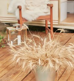 Terrasse en bois : idées déco pour chaque saison