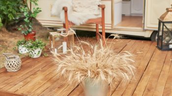 Terrasse en bois : idées déco pour chaque saison