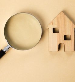 Vivre sans nuisibles à Cruas : pourquoi faire appel à un professionnel ?