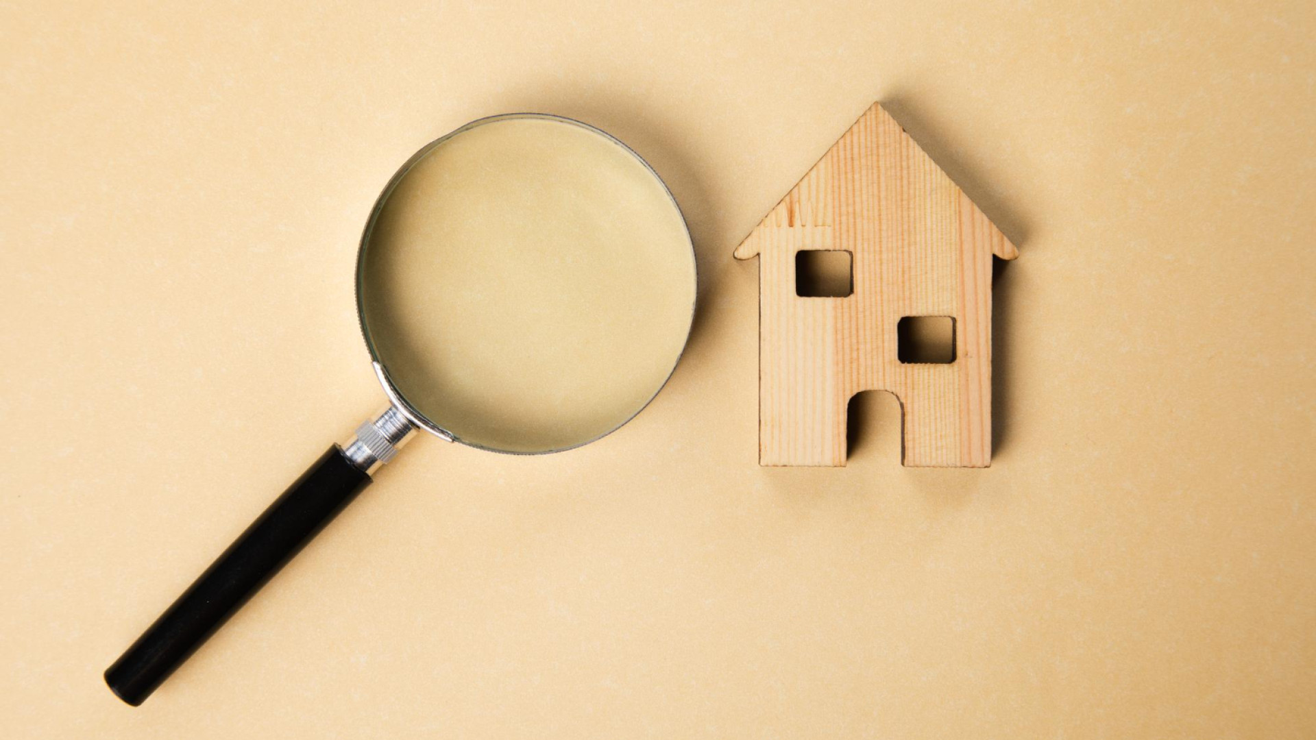 Vivre sans nuisibles à Cruas : pourquoi faire appel à un professionnel ?