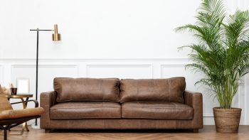 Les matériaux de canapé les plus populaires : cuir, tissu ou velours ?