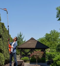 Paysagiste : quelles idées pour transformer votre espace vert à Thionville ?