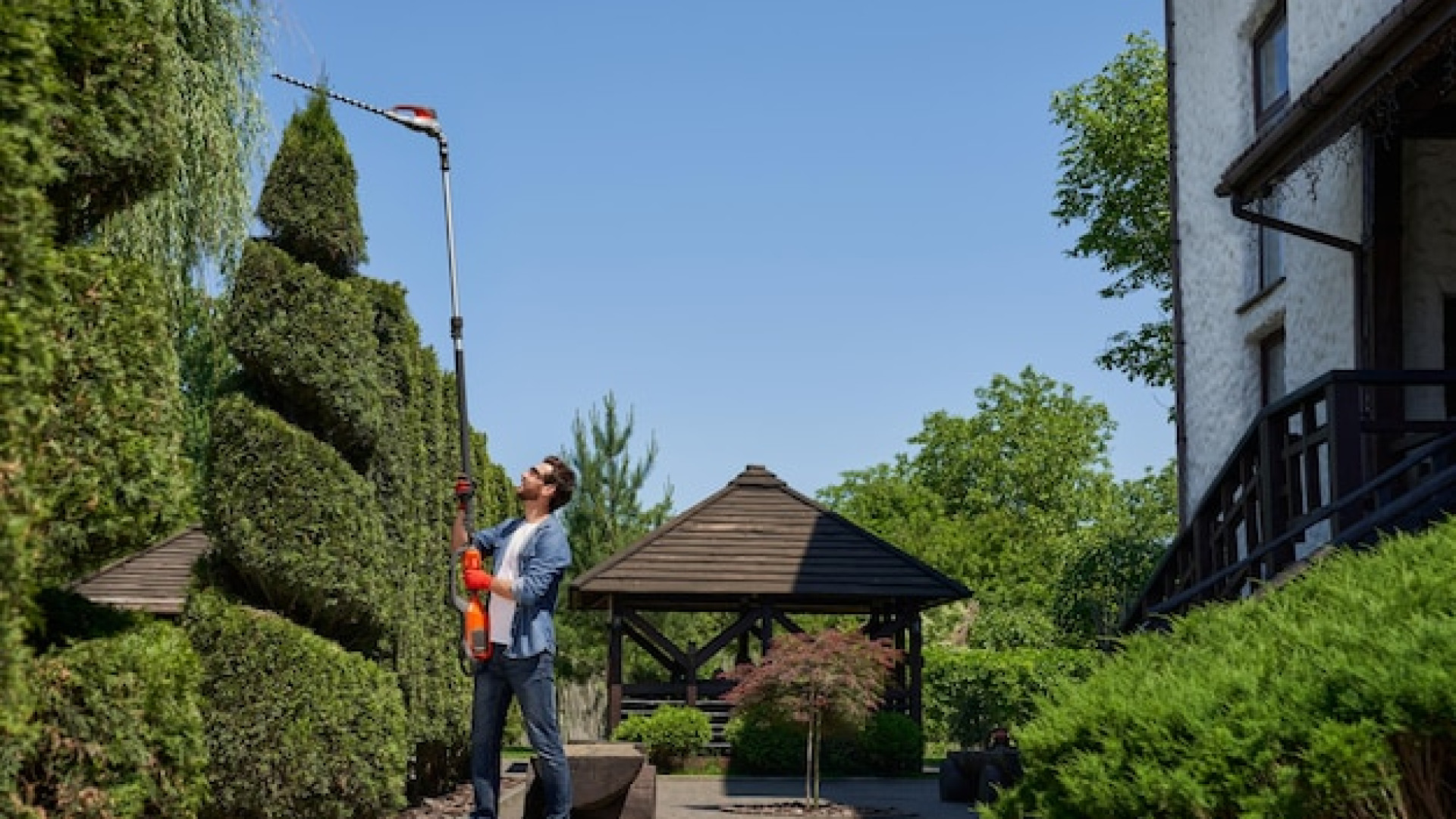 Paysagiste : quelles idées pour transformer votre espace vert à Thionville ?