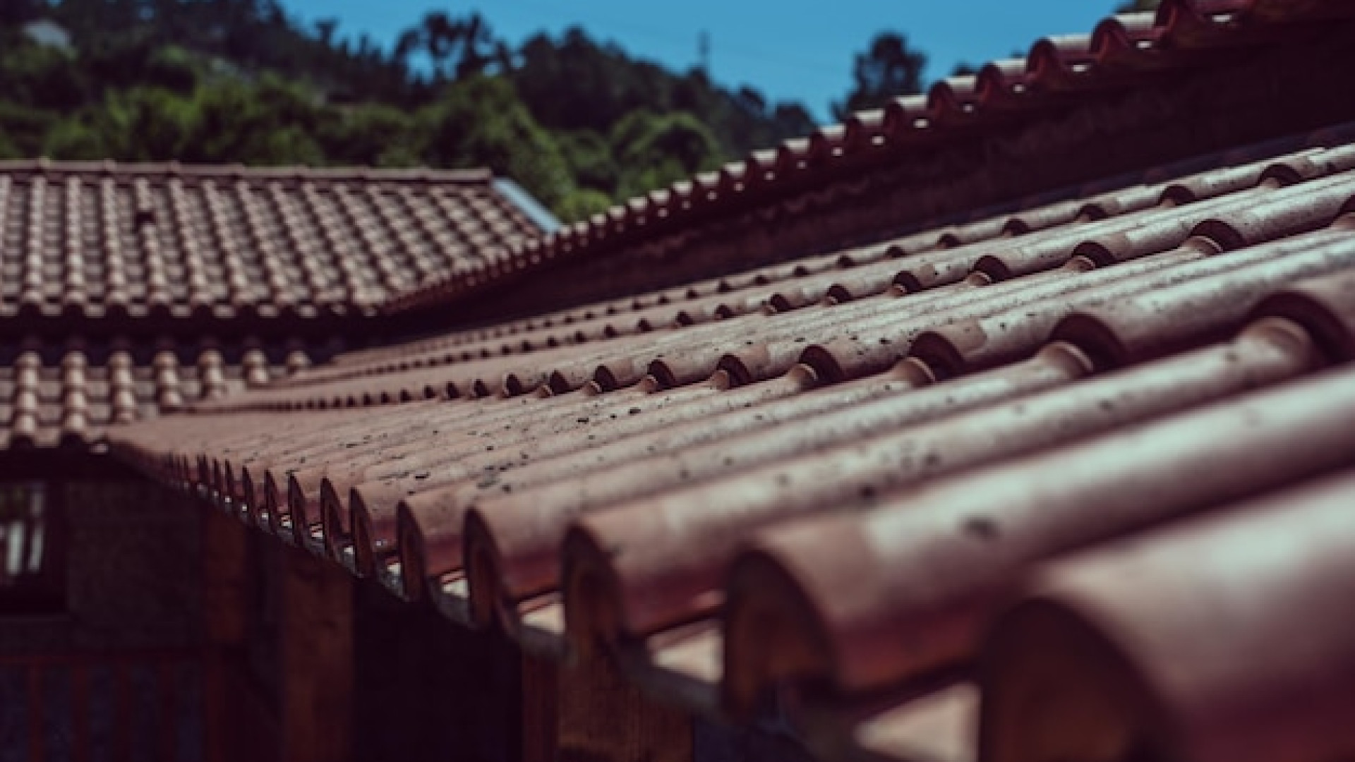 Toiture à Toulouse : quand faut-il refaire son toit ?