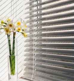 Le store enrouleur, un indispensable de la décoration intérieure