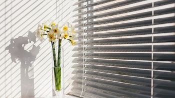 Le store enrouleur, un indispensable de la décoration intérieure