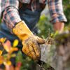 Gagner du temps grâce au jardinage à domicile : méthodes et bénéfices inattendus