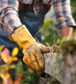 Gagner du temps grâce au jardinage à domicile : méthodes et bénéfices inattendus