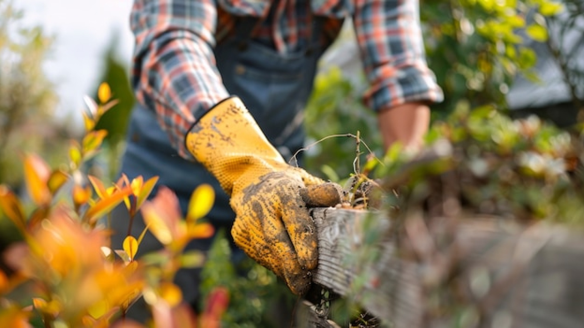 Gagner du temps grâce au jardinage à domicile : méthodes et bénéfices inattendus