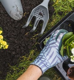 Jardinage à domicile : embellir son extérieur sans effort