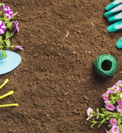 Jardinage à domicile : une solution simple pour un jardin bien entretenu