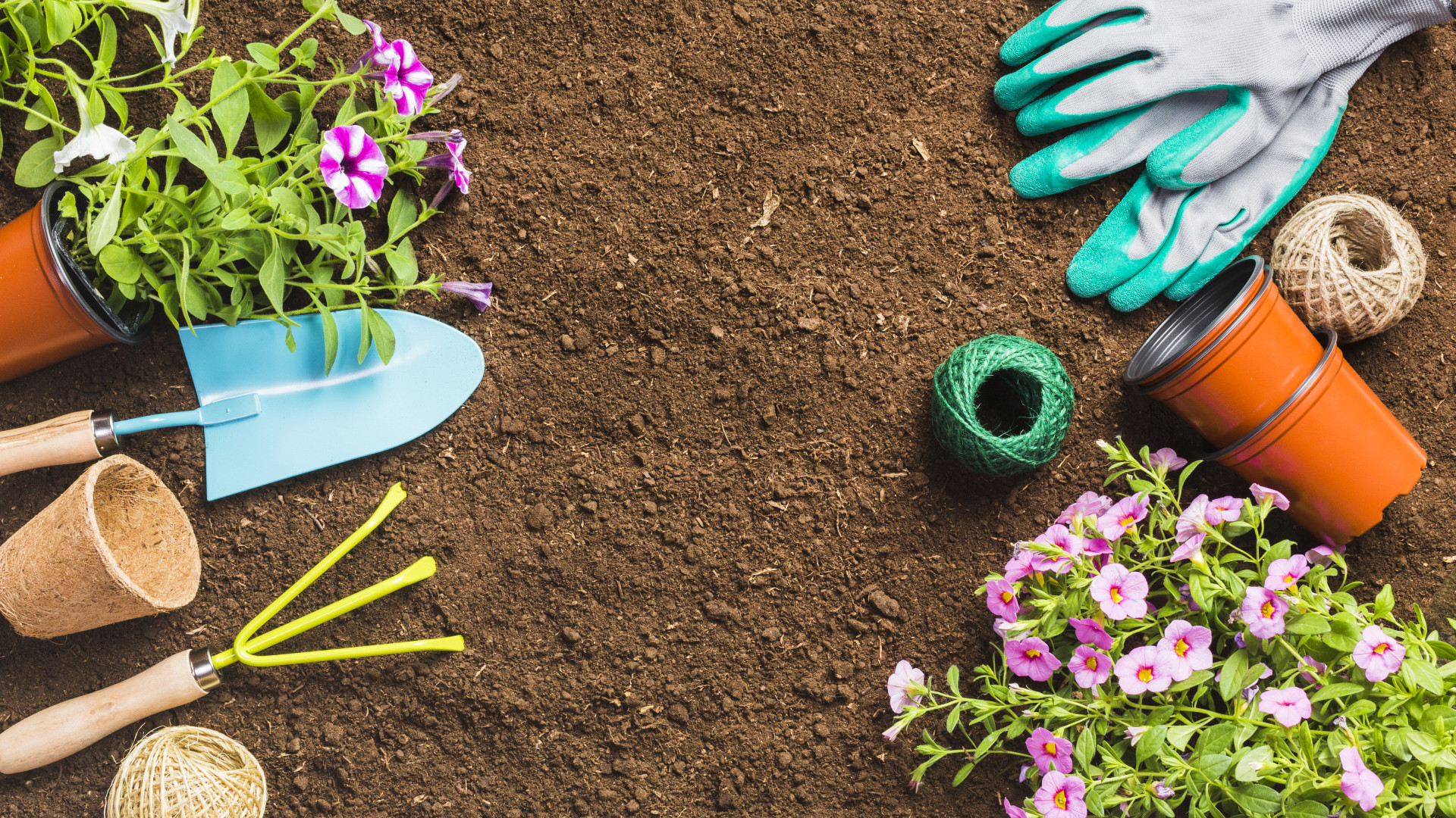 Jardinage à domicile : une solution simple pour un jardin bien entretenu