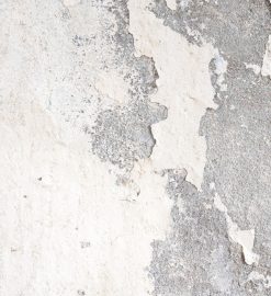 Remontées capillaires : comment traiter l’humidité des murs ?