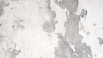 Remontées capillaires : comment traiter l’humidité des murs ?