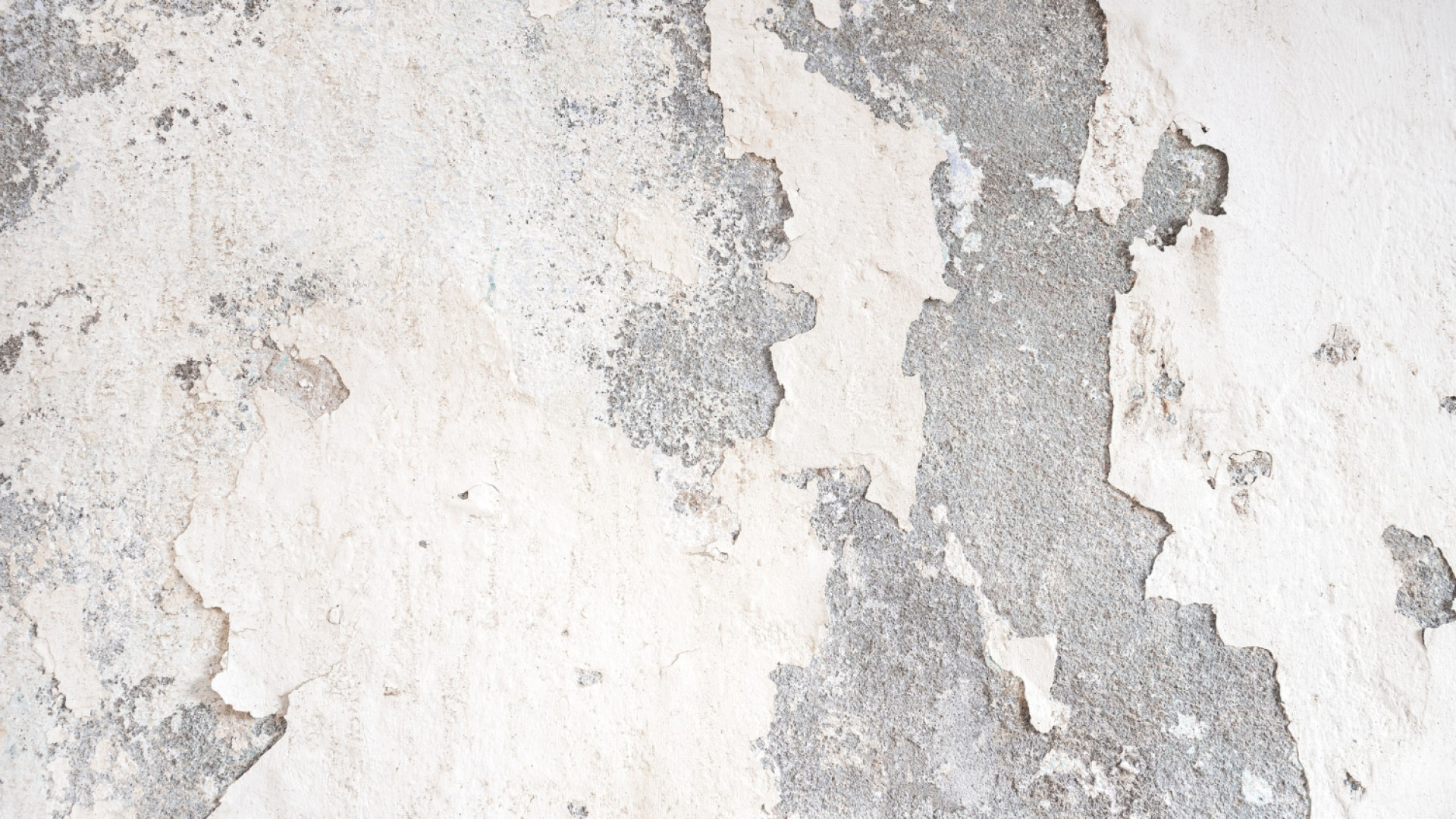 Remontées capillaires : comment traiter l’humidité des murs ?
